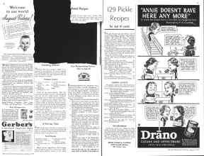 Better Homes & Gardens August 1934 Magazine Article: Page 38