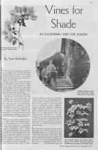 Better Homes & Gardens September 1934 Magazine Article: Vines for Shade