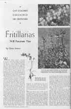 Better Homes & Gardens September 1934 Magazine Article: Fritillarias Will Fascinate You