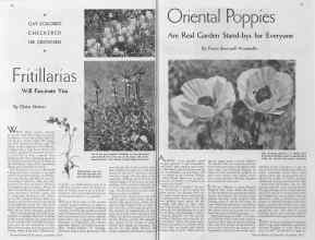Better Homes & Gardens September 1934 Magazine Article: Page 26
