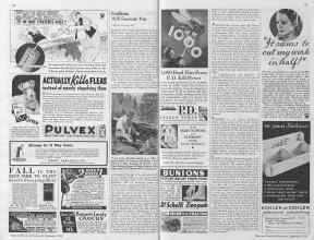 Better Homes & Gardens September 1934 Magazine Article: Page 54