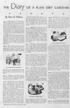 Better Homes & Gardens October 1934 Magazine Article: THE Diary OF A PLAIN DIRT GARDENER