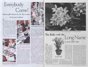 Better Homes & Gardens October 1934 Magazine Article: Page 38