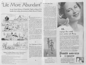 Better Homes & Gardens November 1934 Magazine Article: Page 62