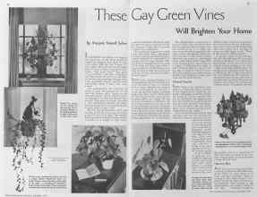 Better Homes & Gardens December 1934 Magazine Article: These Gay Green Vines