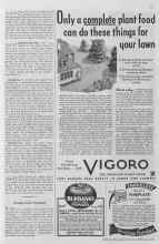 Better Homes & Gardens February 1935 Magazine Article: Garden-Club Members