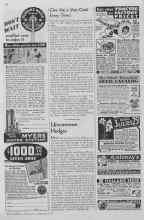 Better Homes & Gardens February 1935 Magazine Article: Uncommon Hedges