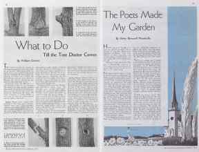 Better Homes & Gardens February 1935 Magazine Article: Page 20