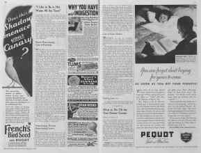 Better Homes & Gardens February 1935 Magazine Article: Page 40
