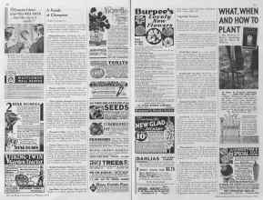 Better Homes & Gardens February 1935 Magazine Article: Page 68