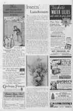 Better Homes & Gardens March 1935 Magazine Article: Insects' Lunchroom