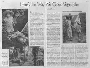 Better Homes & Gardens March 1935 Magazine Article: Here's the Way We Grow Vegetables