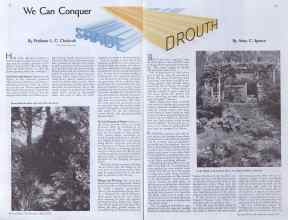 Better Homes & Gardens April 1935 Magazine Article: Page 32