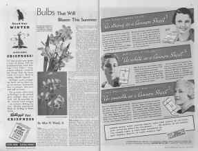 Better Homes & Gardens April 1935 Magazine Article: Page 48