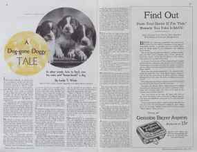 Better Homes & Gardens April 1935 Magazine Article: Page 88