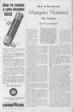 Better Homes & Gardens May 1935 Magazine Article: How to Prevent the Mosquito Nuisance This Summer