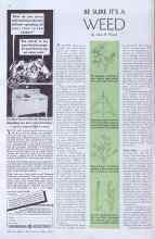 Better Homes & Gardens May 1935 Magazine Article: BE SURE IT'S A WEED