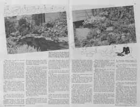 Better Homes & Gardens May 1935 Magazine Article: Page 14