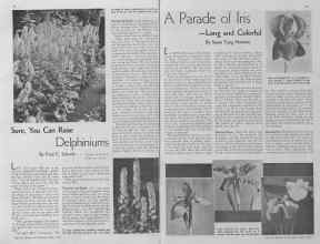 Better Homes & Gardens May 1935 Magazine Article: Page 32