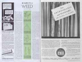 Better Homes & Gardens May 1935 Magazine Article: Page 52