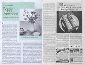 Better Homes & Gardens May 1935 Magazine Article: THE VIVACIOUS Poppy Anemone