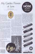 Better Homes & Gardens June 1935 Magazine Article: My Garden Flowers of June
