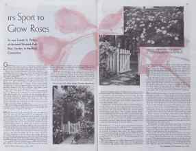 Better Homes & Gardens June 1935 Magazine Article: IT'S Sport To Grow Roses