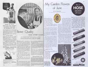 Better Homes & Gardens June 1935 Magazine Article: Page 42
