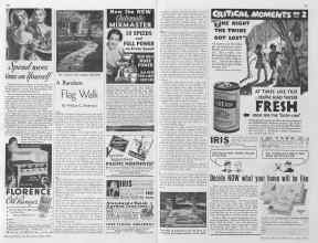 Better Homes & Gardens June 1935 Magazine Article: A Random Flag Walk