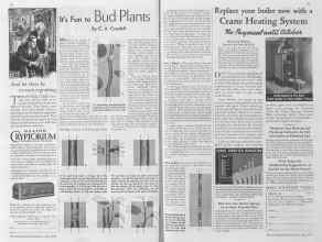 Better Homes & Gardens July 1935 Magazine Article: It's Fun to Bud Plants