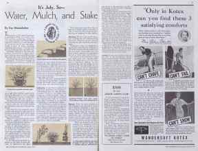 Better Homes & Gardens July 1935 Magazine Article: It's July, So--Water, Mulch, and Stake