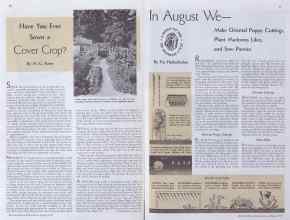 Better Homes & Gardens August 1935 Magazine Article: Page 20