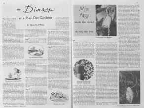 Better Homes & Gardens August 1935 Magazine Article: Page 28