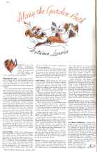 Better Homes & Gardens October 1935 Magazine Article: Along the Garden Path