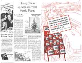 Better Homes & Gardens October 1935 Magazine Article: Page 42