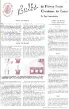 Better Homes & Gardens November 1935 Magazine Article: Bulbs to Flower From Christmas to Easter