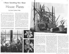 Better Homes & Gardens November 1935 Magazine Article: I Know Something New About