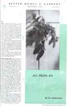 Better Homes & Gardens December 1935 Magazine Article: ALL FROM AN Evergreen Tree