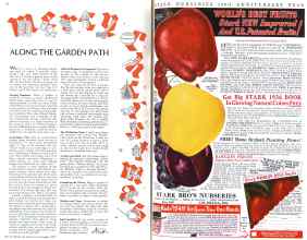 Better Homes & Gardens December 1935 Magazine Article: Page 62