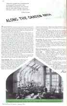 Better Homes & Gardens January 1936 Magazine Article: ALONG THE GARDEN PATH