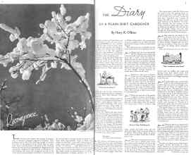 Better Homes & Gardens January 1936 Magazine Article: Page 4