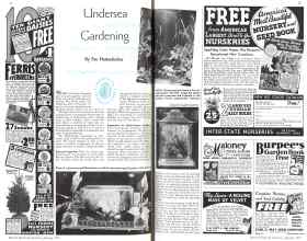 Better Homes & Gardens January 1936 Magazine Article: Undersea Gardening