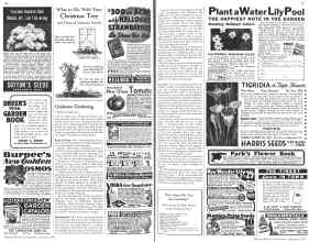 Better Homes & Gardens January 1936 Magazine Article: Page 56