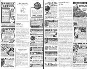 Better Homes & Gardens January 1936 Magazine Article: Page 60