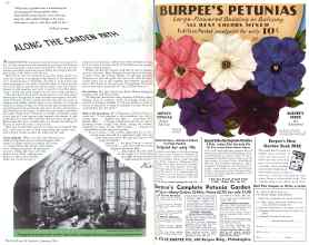 Better Homes & Gardens January 1936 Magazine Article: Page 62