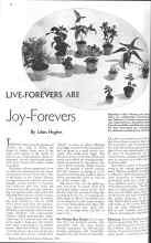 Better Homes & Gardens February 1936 Magazine Article: LIVE-FOREVERS ARE Joy-Forevers
