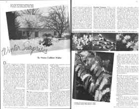 Better Homes & Gardens February 1936 Magazine Article: Winter Surprises