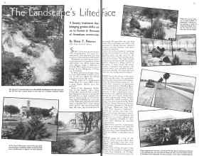 Better Homes & Gardens February 1936 Magazine Article: The Landscape's Lifted Face