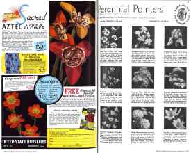 Better Homes & Gardens February 1936 Magazine Article: Page 90