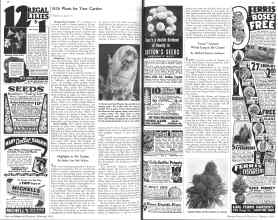 Better Homes & Gardens February 1936 Magazine Article: Highlights in My Garden